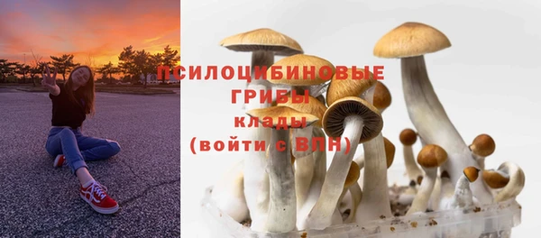 ALPHA-PVP Елизово