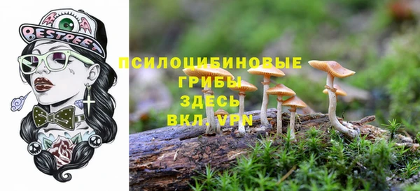 альфа пвп Ельня