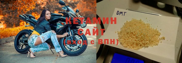 амф Тайга
