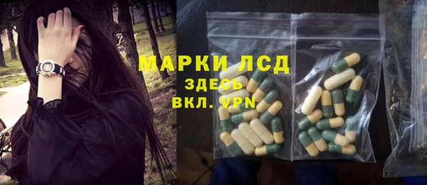ПСИЛОЦИБИНОВЫЕ ГРИБЫ Елабуга