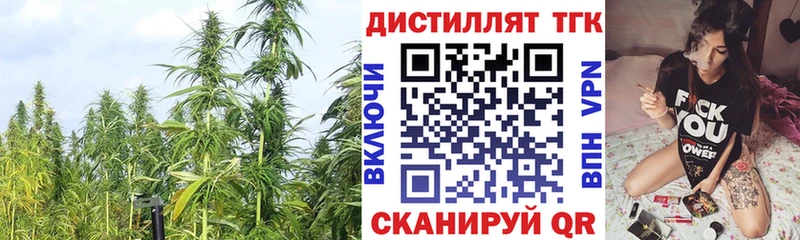 Купить  Почеп  ТГК вейп с тгк 