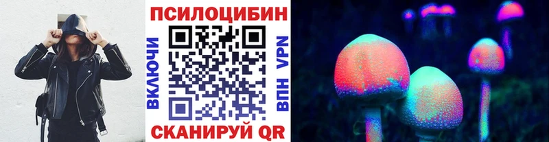 Купить где  Почеп  Галлюциногенные грибы прущие грибы 